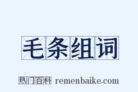 毛条组词是什么意思的图片